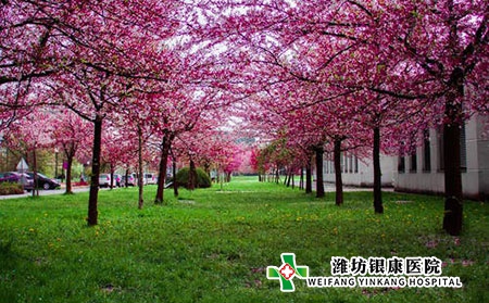 【潍坊银康医院】静候春来，银屑病初春保养
